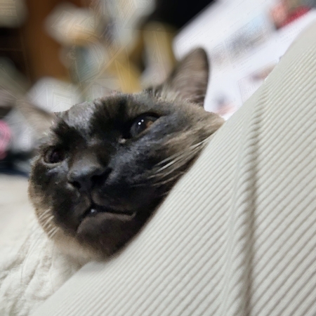 DSC_0004~2.jpg