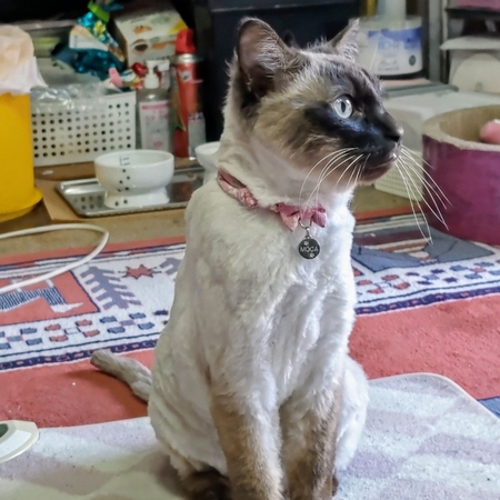 DSC_0033.jpg