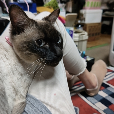 DSC_0047.jpg