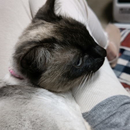 DSC_0049.jpg