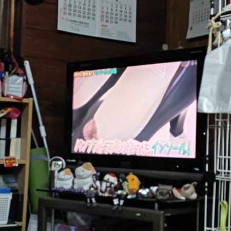 DSC_0165.jpg