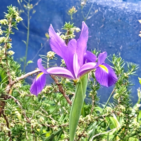 DSC_0192.jpg