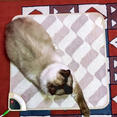 DSC_0663.jpg