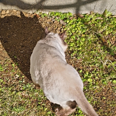 DSC_1081.JPG