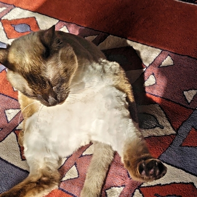 DSC_1101.JPG