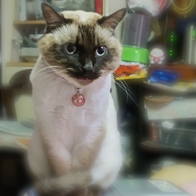 DSC_1106.JPG