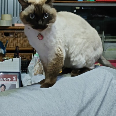 DSC_1111.JPG