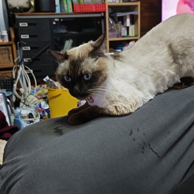 DSC_1116.JPG