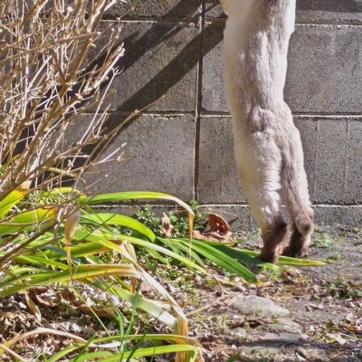 DSC_1118.JPG
