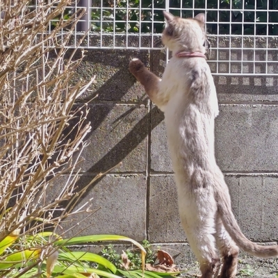 DSC_1119.JPG