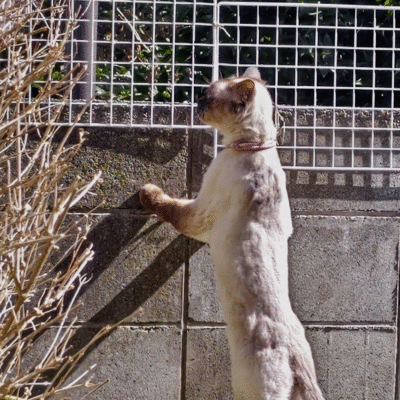 DSC_1121-ANIMATION.gif
