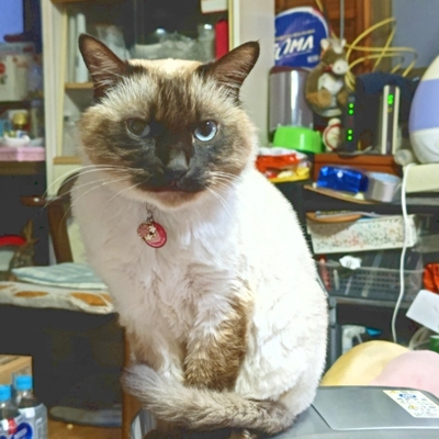 DSC_1127.jpg