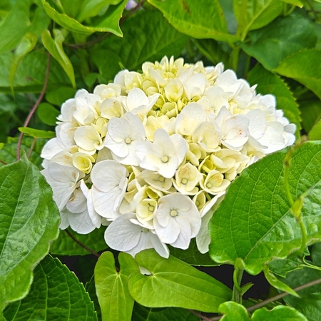 DSC_1464.jpg