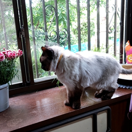 DSC_3433.jpg