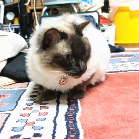 DSC_3478.jpg