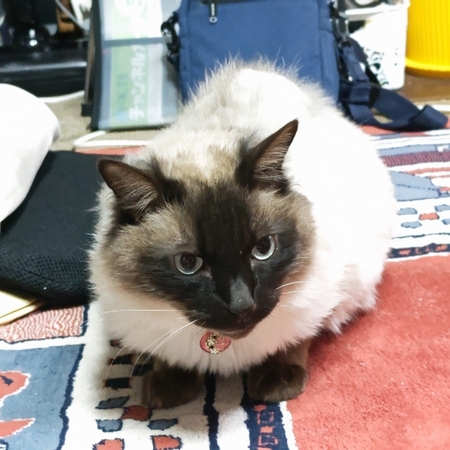 DSC_3479.jpg