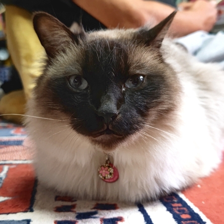 DSC_3652.jpg
