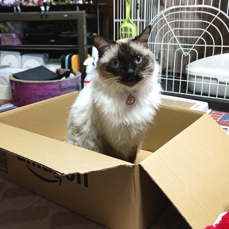 DSC_4167.jpg
