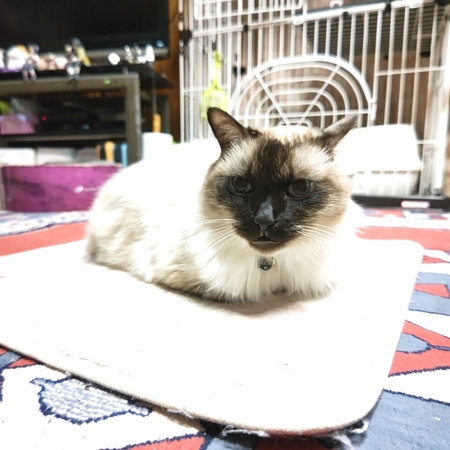 DSC_4283.jpg