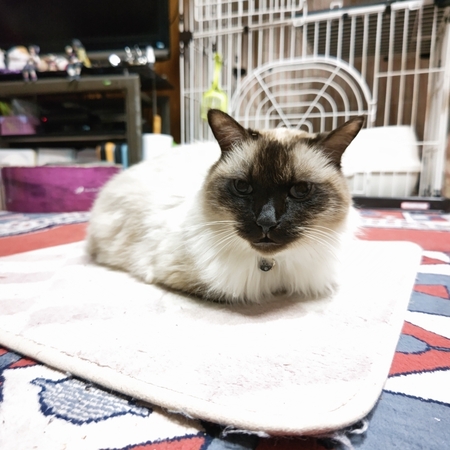 DSC_4284.jpg