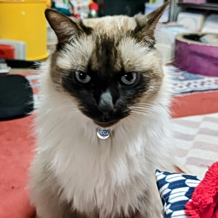 DSC_4389~2.jpg