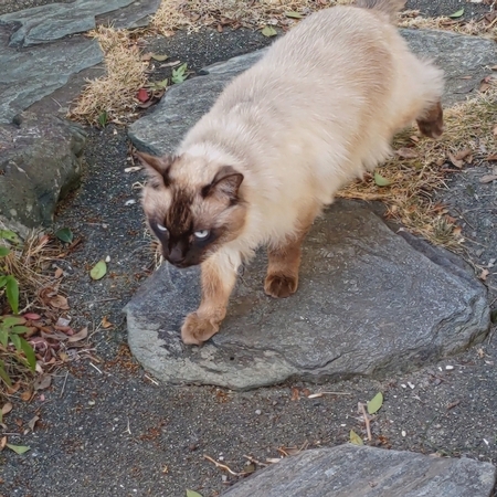 DSC_4500.jpg