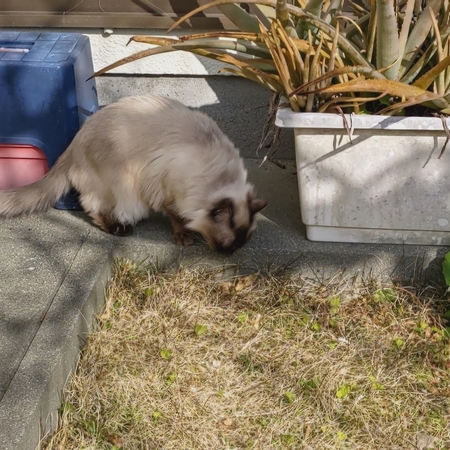 DSC_4502.jpg