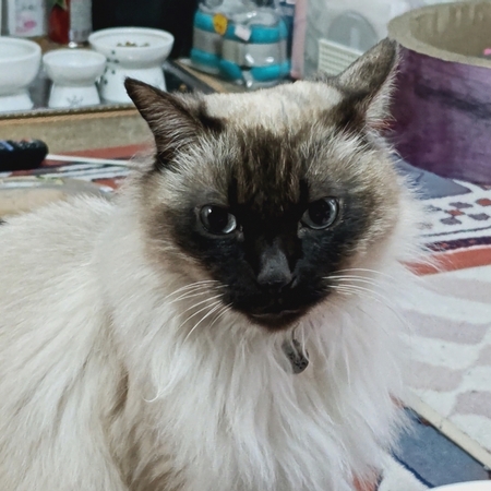 DSC_4557.jpg
