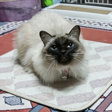 DSC_4573.jpg