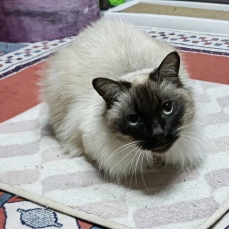 DSC_4577.jpg
