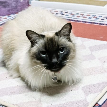 DSC_4582.jpg