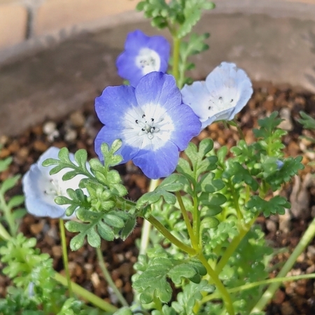 DSC_4648.jpg