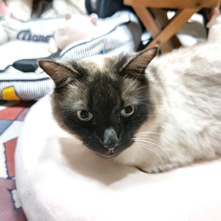 DSC_4707.jpg