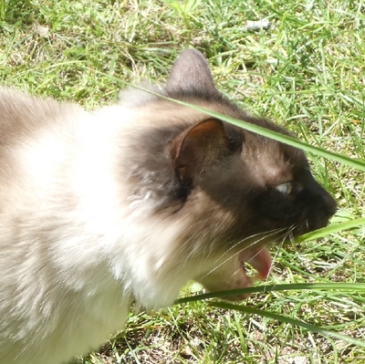 P1150668-m.jpg