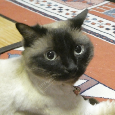 P1160334-m.jpg