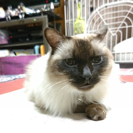 STORYPIC_00015813.jpg