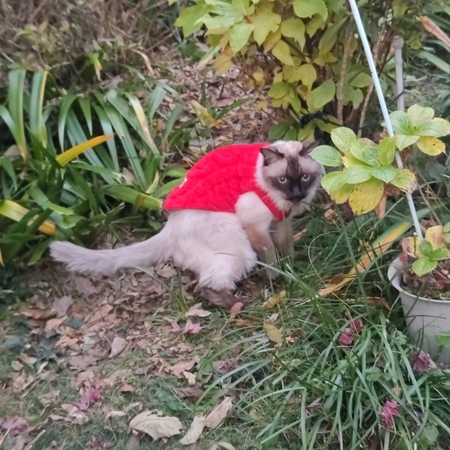 moka-photo_001.jpg