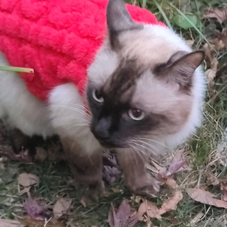 moka-photo_002.jpg
