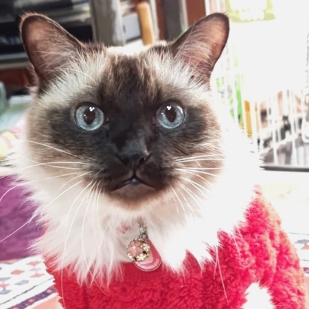 moka-photo_004.jpg