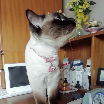 moka_105325_2.jpg